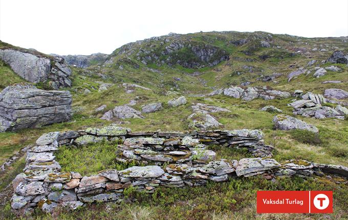 Støler, steinmurer og kultur i Eksingedalen