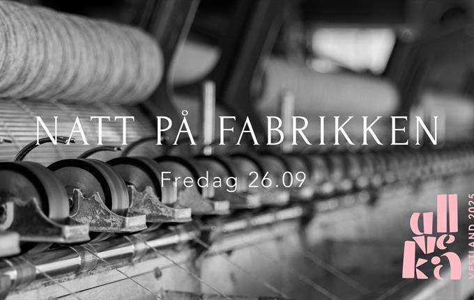 Natt på fabrikken