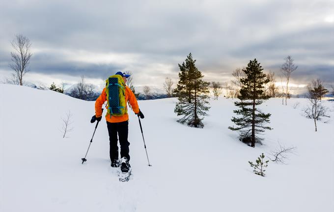 Trugetur med Norway Mountain Guides