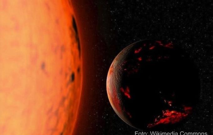 Lag dyre- og planteformer til installasjonen Tellus∞Mars.
