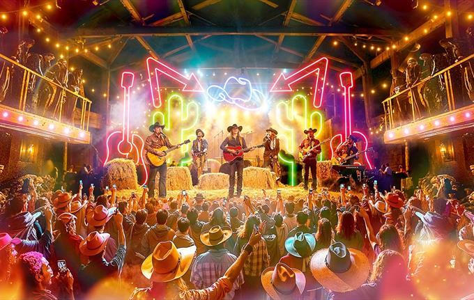 The Country Music Experience