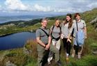 Guidet fjelltur: "On Top of Bergen"