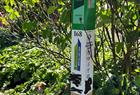 Stolpejakten i Arboretet u QR