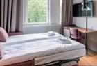 Delux room with sofabed