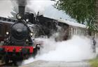 Bergen Heritage Tour - Gamle Vossebanen