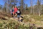 Guidet fjelltur i Bergen inkludert lunsj