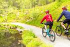 Leie av Mountain Bike på Fløyen