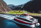 Halvdags fjordcruise fra Bergen til Mostraumen