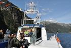 Rødne Fjord Cruise