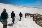 Blue Ice Hike