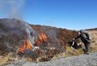 Lyngheisenteret på Lygra