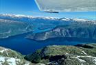 Flesland Fly