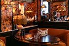Brasserie Chérie