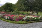 Arboretet og botaniske hage