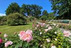 Arboretet og botaniske hage