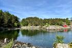 Grønevika Arboretet på Milde