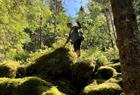 På tur i skogene på Arboretet på Milde. Spennende å utforske livet i skogen.