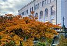 Muséhagen