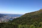 Nydelig panoramautsikt fra Vidden