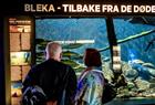 Gjester på Akvariet