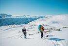 Trolltunga Vintertur