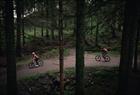 Leie av mountain bike på Fløyen