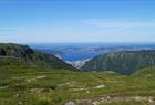 Vidden fra Ulriken til Fløyen