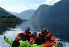 Basic fjord tour from Bergen