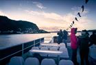 Alverstraumen vintertur