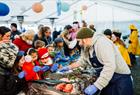 Bergen Sjømatfestival