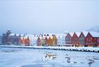 Bryggen en snødag