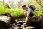 Fjordcruise & guidet fjelltur til "Slottet"