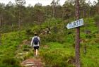 Fjordcruise & guidet fjelltur til "Slottet"