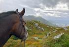 Ridetur i byfjellene med Øvre-Eide gård
