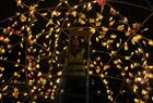 Fra "LUX Animalia", kunstpilotene, Lysfestivalen Bergen Lights, Bergen 950, Byparken, 2020.