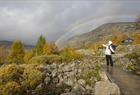 Guidet tur til Trolltunga med Trolltunga Active