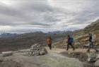 Guidet tur til Trolltunga med Trolltunga Active