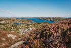 Birdbox Sotra
