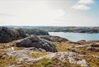 Birdbox Sotra