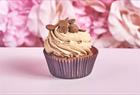 Daria's Yummy Cakes