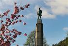 Guidet byvandring i Bergen