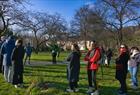 Guidet byvandring i Bergen