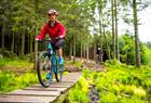 Leie av Mountain Bike på Fløyen