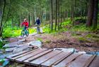Leie av Mountain Bike på Fløyen