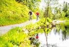 Leie av Mountain Bike på Fløyen