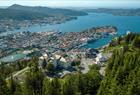 Fløyen