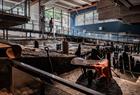 Utstillingen Under jorden på Bryggens Museum