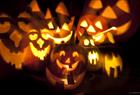 Halloween på Akvariet