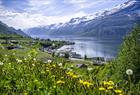 Hardangerfjorden