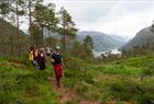 Fjordcruise & guidet fjelltur til "Slottet"